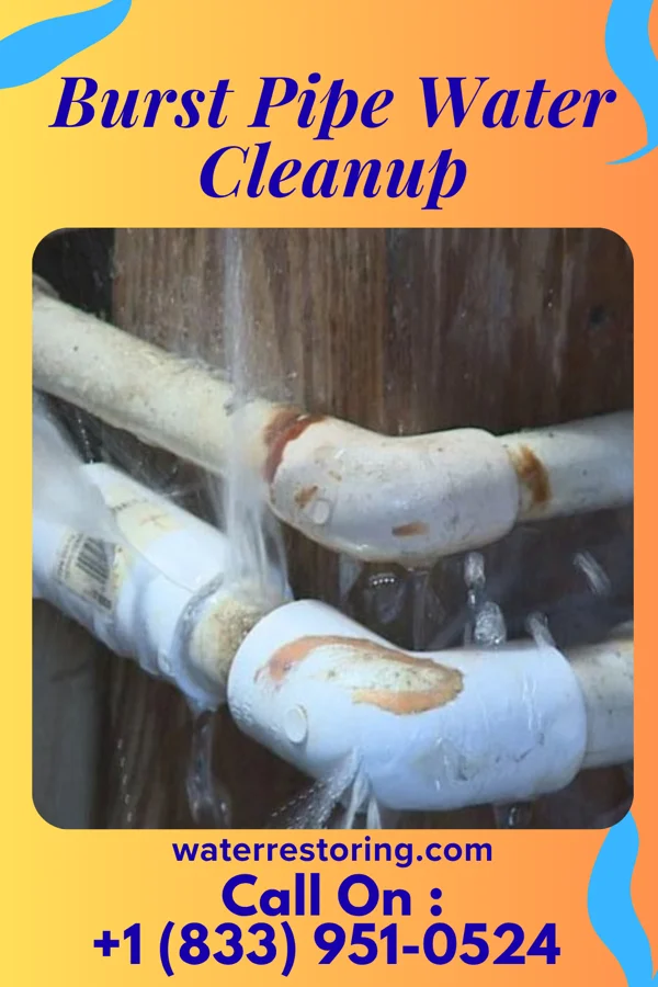 Burst Pipe Water Cleanup in Pierre, SD