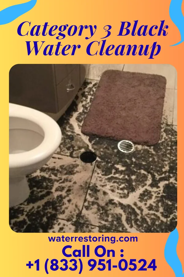 Category 3 Black Water Cleanup in Pierre, SD